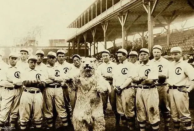 1906 chicago cubs
