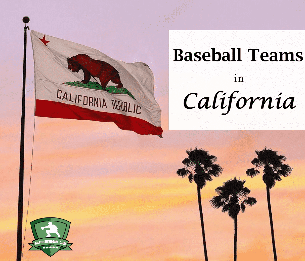 baseball teams in california