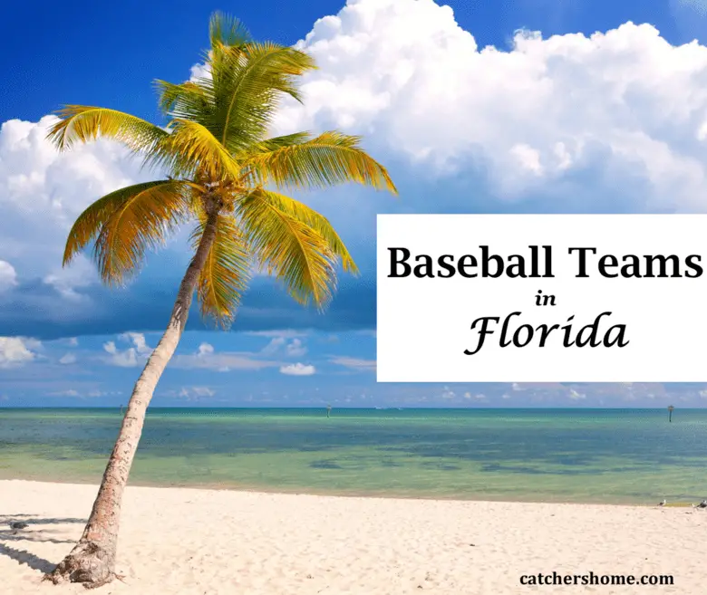 all baseball teams in florida