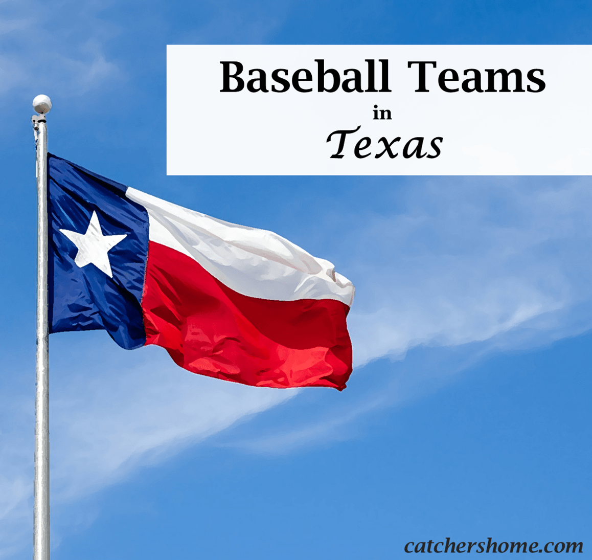 baseball teams in texas