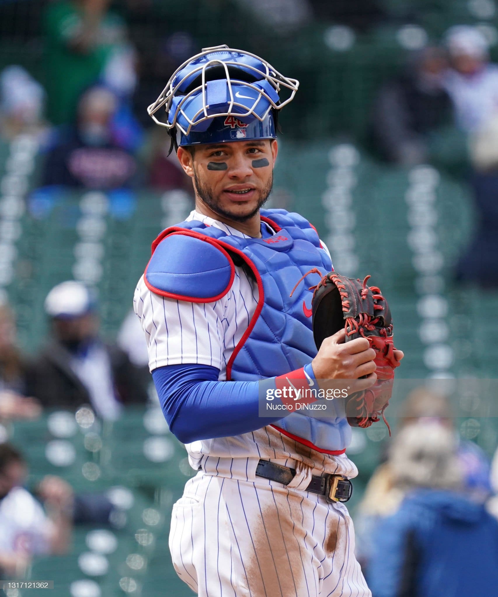 cubs catcher contreras