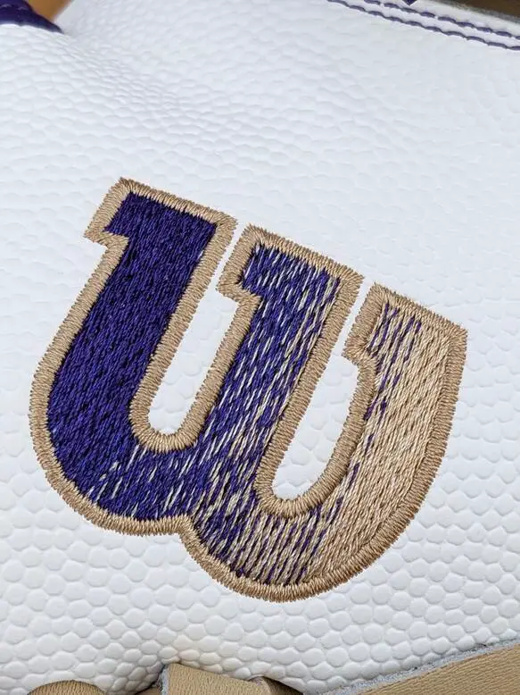 wilson logo on catchers mitt