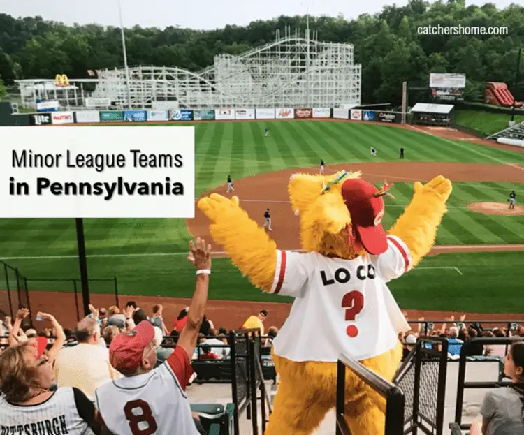 minor league baseball teams in Pennsylvania